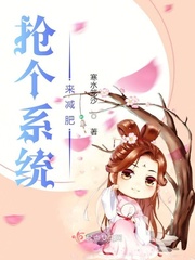 抢系统的小说